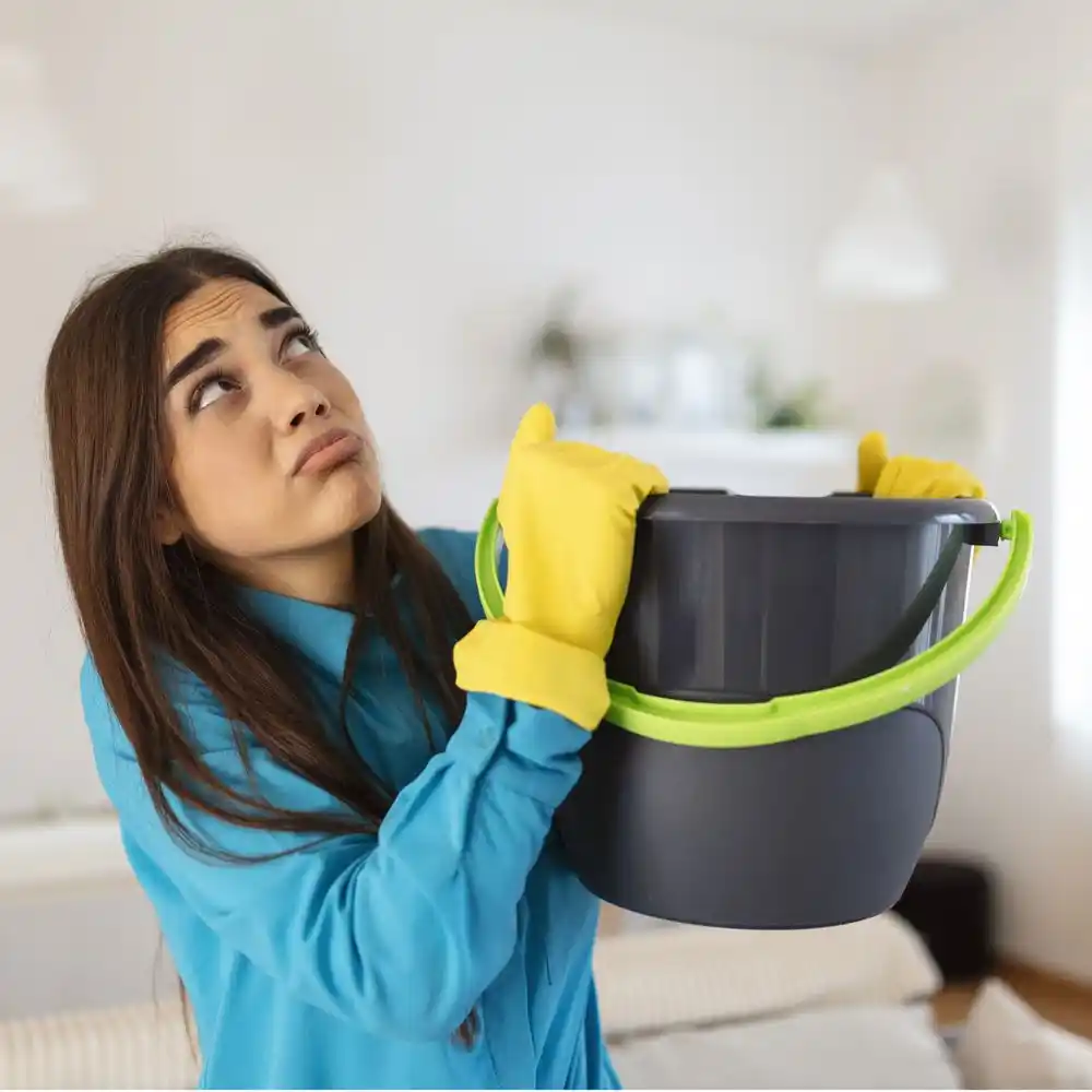 water damage restoration service Mineola
